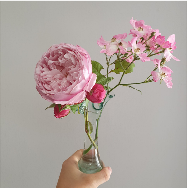 Pink flowers in a jar against a grey background.
